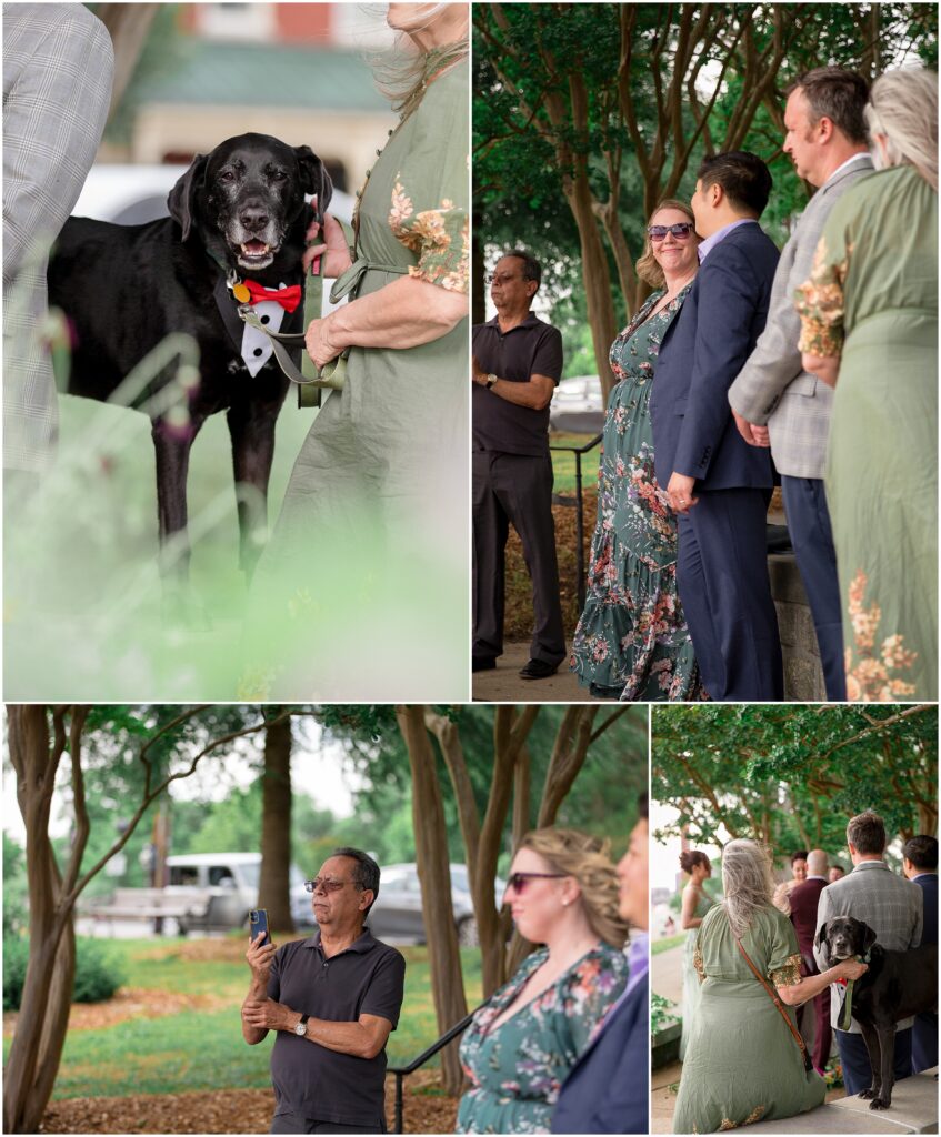 Collage of wedding guests and dog during downtown Richmond elopement ceremony